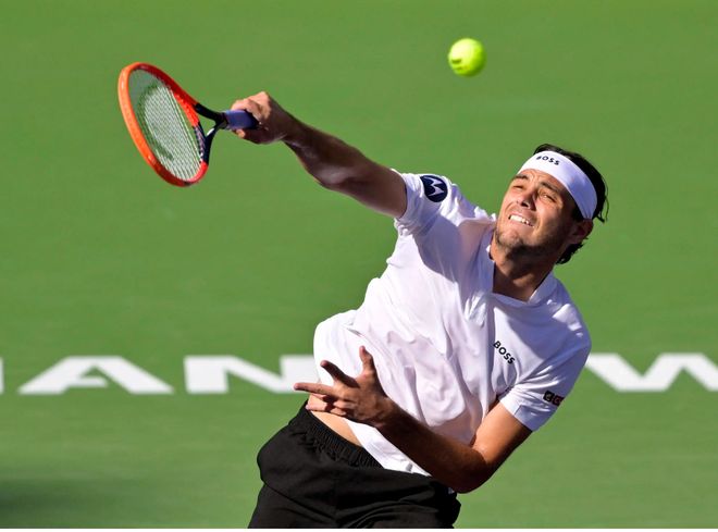 恩古莫哈 恩古莫哈